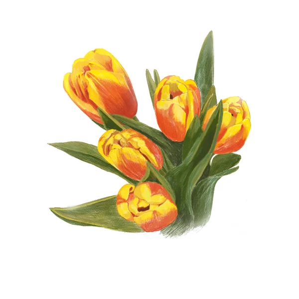 Bouquet Tulipani Fiori Primaverili Gialli Arancioni Biglietti Auguri Manifesti Illustrazione — Foto Stock