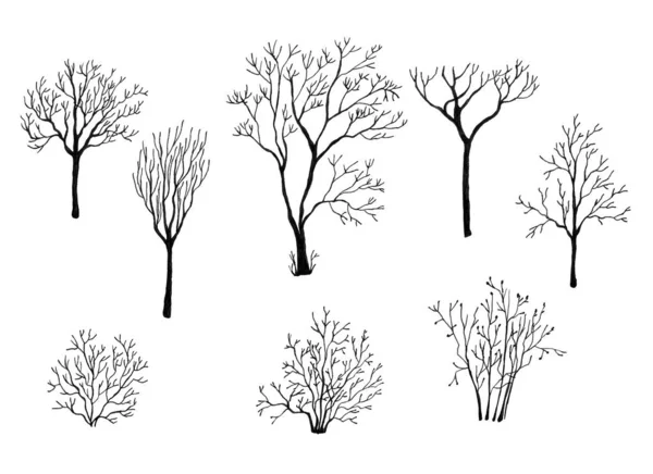 设置不同的树没有叶子为您的设计 白色背景的墨水 手绘插图 — 图库照片
