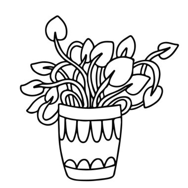 Tencereye tırmanmak, karalama tarzında scindapsus yapmak. Beyaz arkaplanda siyah mürekkeple el çizimi vektör çizimi.