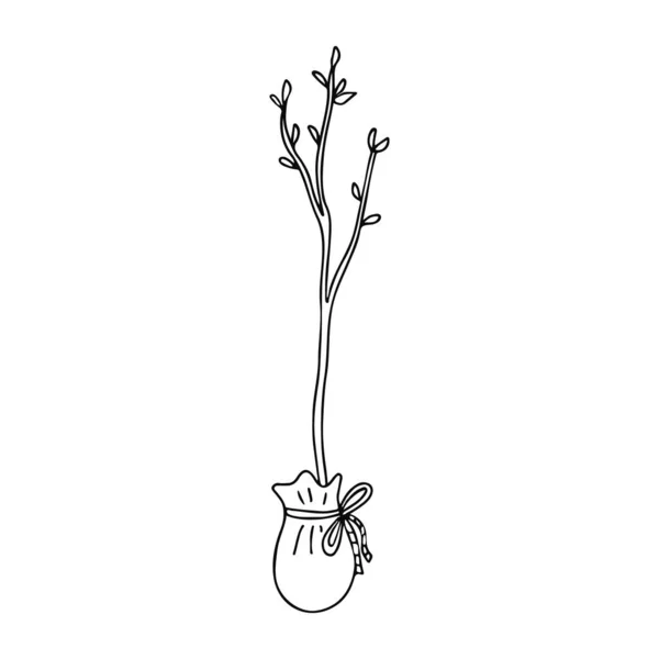 Semis Arbre Dans Style Doodle Thème Jardinage Illustration Vectorielle Dessinée — Image vectorielle