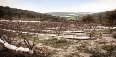 Carmel ve Zihron Yakup, Nazareth, Safed arasında alt Celile,