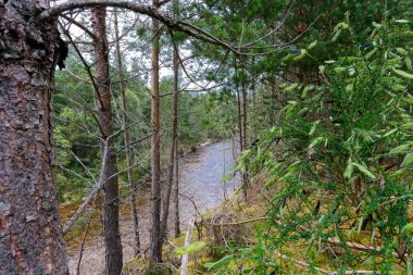 Cairngorms Milli Parkı, İskoçya'da nehir Druie