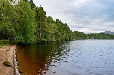 Loch Garten Cairngorms Milli Parkı, İskoçya'da