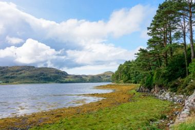 Loch Ewe ve Inverwe bahçeleri, İskoçya