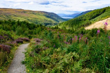 Küçük Loch Broom Wester Ross, İskoçya'da