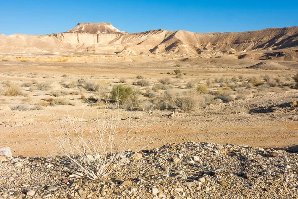 Formacje skalne w południowej części pustyni Negew Izraela — Zdjęcie stockowe