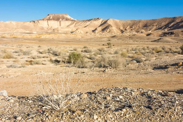 Formations rocheuses dans le désert du Néguev Sud d'Israël — Photo