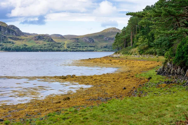 Loch Ewe and Inverwe Gardens, Scotland — Stock Photo, Image