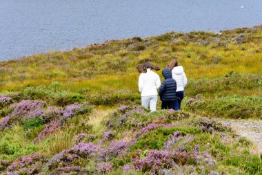 Loch Tollie Wester Ross, İskoçya'da