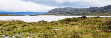 Loch Ewe ve Inverwe bahçeleri, İskoçya