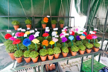 Lizbon sokakları Festas de Lisboa için dekore edilmiştir. 