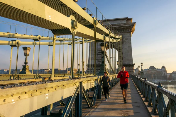 Budapest Grudzień 2019 Most Łańcuchowy Szchenyi Zamek Buda Budynek Parlamentu — Zdjęcie stockowe