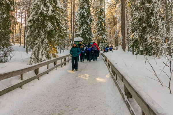 Rovaniemi Finlandia Feb 2020 Grupa Turystów Wędrujących Zamarzniętym Lesie Śnieżnym — Zdjęcie stockowe