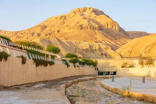 Rivière Bokek Jette Dans Mer Morte Sud Israël Rivière Est — Photo