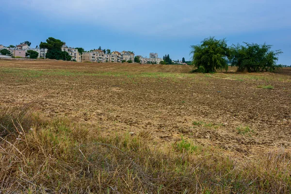 Empty Plowed Field Harvest Kibbutz Center Israel Sharon Area — Stock Photo, Image