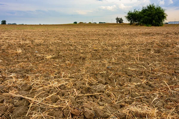 Campo Lavrado Vazio Após Colheita Kibutz Centro Israel Área Sharon — Fotografia de Stock