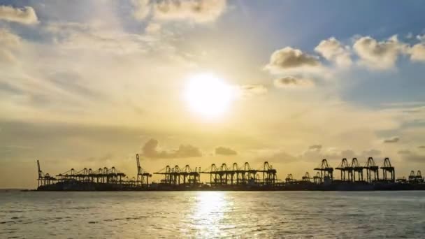 Singapore Port Timelapse Sunset Import Export Hajózási Kikötő Napról Éjszakára — Stock videók