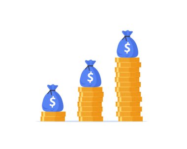 Gelir artışı grafiği, yatırım grafiğine dönüş, bütçe fonu planı