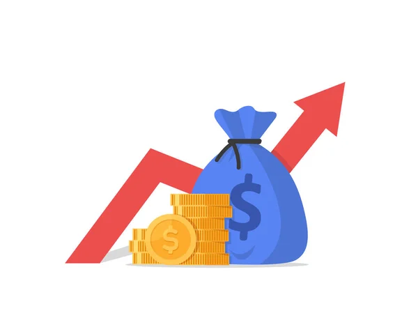 Pénzügyi Teljesítmény Statisztikai Jelentés Üzleti Termelékenység Növelése — Stock Vector