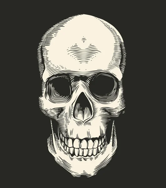 Calavera humana dibujada en estilo retro grabado aislado sobre fondo negro, vista frontal. Concepto de horror y maldad. Ilustración vectorial monocromática para postal, logotipo, pancarta, tatuaje, impresión de camiseta . — Vector de stock