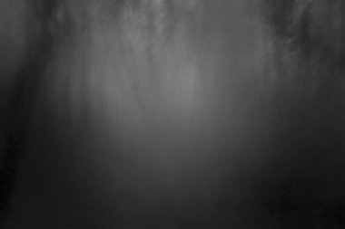 Gri ve siyah arka plan resim sis gece ormanda üzerinden