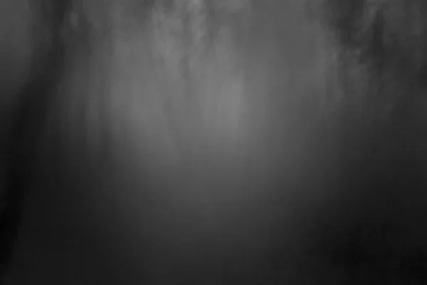 Абстрактний сірий і чорний фон з картинного туману в нічному лісі — стокове фото