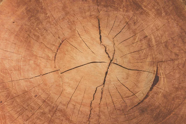 Vintage tono mate de madera natural textura tronco de árbol cortado con anillos anuales de madera — Foto de Stock