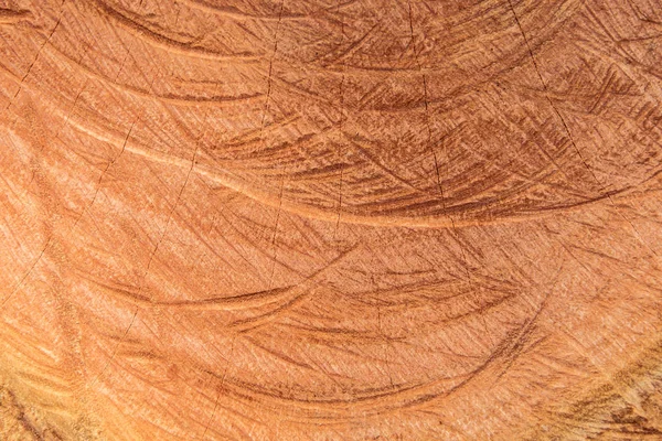 Textura de madera natural del tronco del árbol cortado con anillos anuales de madera — Foto de Stock