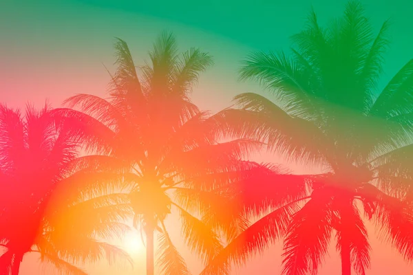 Coconut palm trees at sunset beach background retro filter — Stock Photo, Image