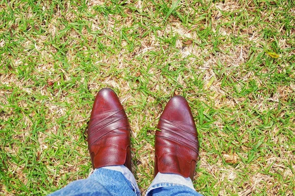 Шкіряне взуття на зеленій траві з простором для вмісту — стокове фото