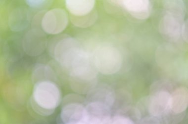 Soyut yeşil yaprak bokeh arkaplan, yeşil bulanık soyut arkaplan yapraklar güneş ışığı arka planından