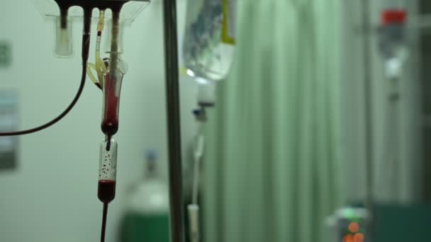 Närbild Blodtransfusion Intravenöst Till Patient Sjukhusets Hand Höll Skytte — Stockvideo