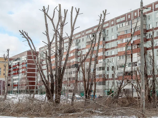 Winterschnitt Von Hohen Oder Trockenen Bäumen Der Stadtlandschaft Durchführung Von — Stockfoto