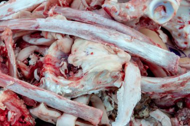 Taze çiğ inek ve domuz kemikleri. Kan, et ve deri kalıntıları. Et ticaretinin atıkları.