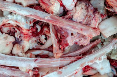 Taze çiğ inek ve domuz kemikleri. Kan, et ve deri kalıntıları. Et ticaretinin atıkları.