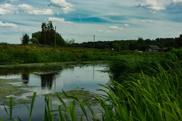 夏日的风景 一条长满了矮小河岸的河流 — 图库照片
