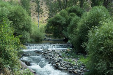 Dağ nehri Azat Vadinin dibinden akıyor