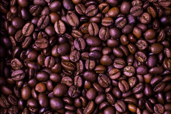 Frisch Geröstete Kaffeebohnen Aus Äthiopien — Stockfoto