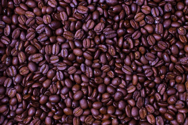 freshly roasted coffee beans Colombia
