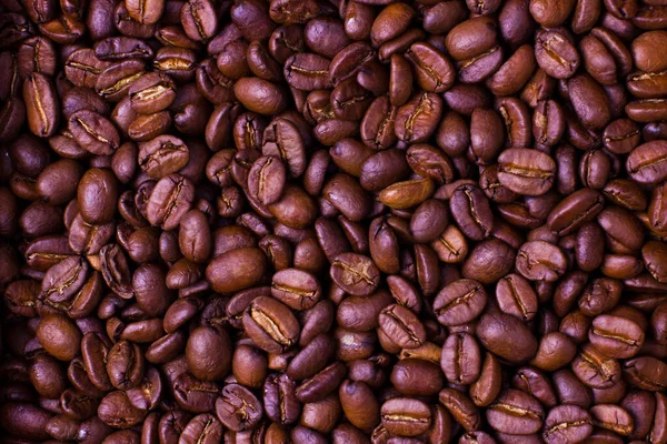 Freshly Roasted Coffee Beans Costa Rica — Stock Photo, Image