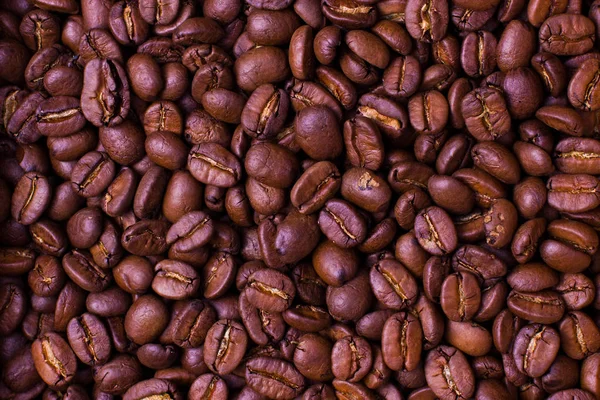 Čerstvě Pražená Kávová Zrna Odrůda Maragogype Plantáží Nikaragua — Stock fotografie