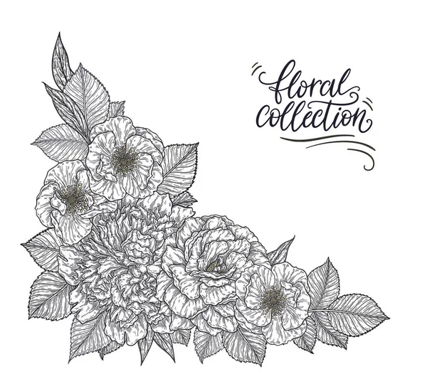 Rozen Peonisbloemenhand Lijntjes Getekend Zwart Wit Monochrome Grafische Doodle Elementen — Stockvector