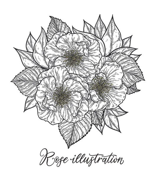 Rozen en bessen bloemboeket hand getrokken in lijnen. Zwart-wit monochrome grafische doodle elementen. Geïsoleerde vectorillustratie, sjabloon voor ontwerp — Stockvector