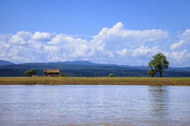 Myanmar 'ın kırsal kesimindeki huzurlu kırsal yaşam