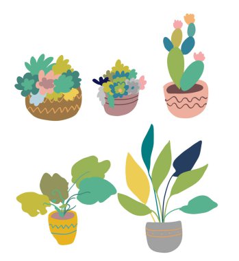 Dekoratif çömlek vektör illüstrasyonunda şehir içi ev bitkileri. El çizimi sanat sulandırıcı kaktüsler. Tropikal bitkiler, İskandinav tarzı asgari düzeyde. Koleksiyonu beyaza ayır.