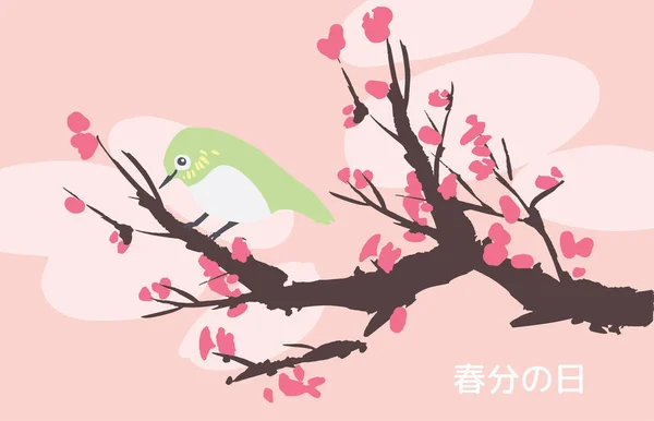 Spring Vernal Equinox Day Celebration Card Template Cherry Blossom Sakura — 图库矢量图片