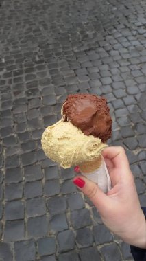 Çikolatalı ve vanilyalı dondurma.