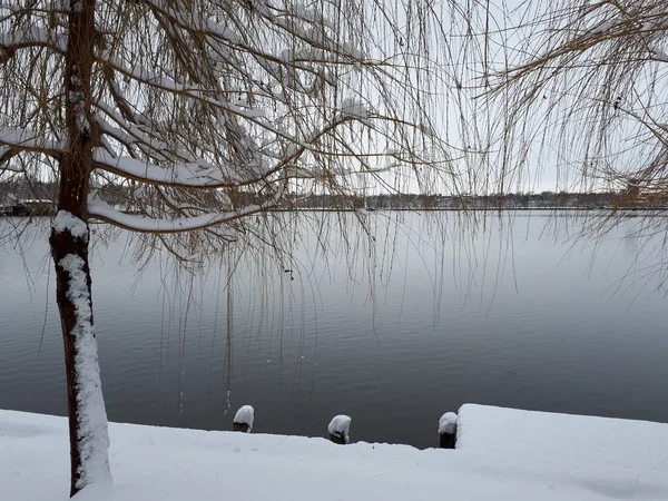 Tree branches covered by snow with the lake in the background
