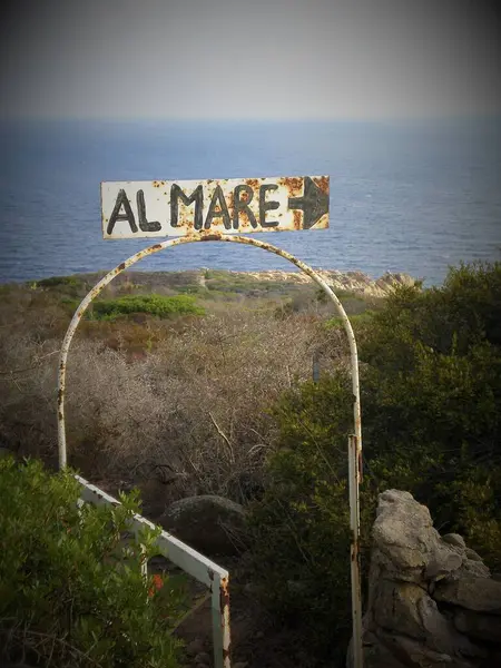 Porte Rouillée Bord Mer Mare — Photo