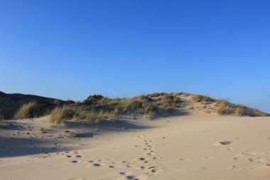 Akdeniz sahilindeki kum tepeleri